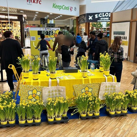 Stand Une jonquille contre le cancer dans une galerie commerciale, jonquilles et nappes jaunes Institut Curie